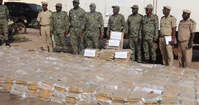 saisie-de-2-8-tonnes-de-cannabis-a-la-frontiere-ivoiro-ghaneene