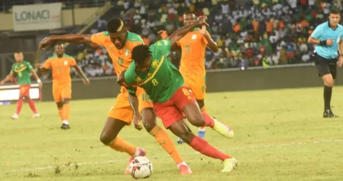elephants-de-cote-divoire-ces-dangers-a-eviter-au-cameroun