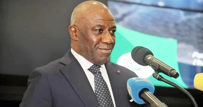 telecommunications-internet-roger-adom-assure-les-couts-vont-baisser