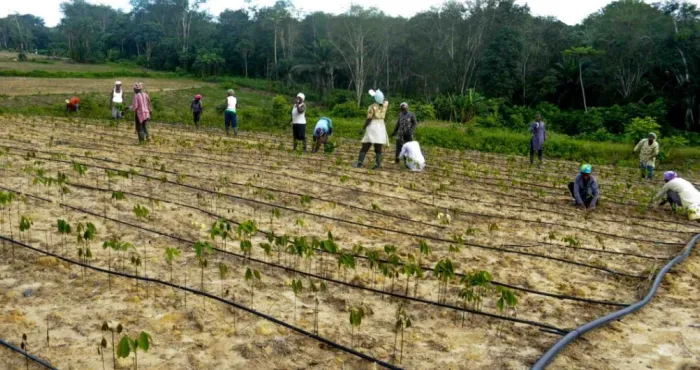developpement-du-secteur-agricole-les-projets-agro-industriels-de-ouattara-prennent-forme-au-nord