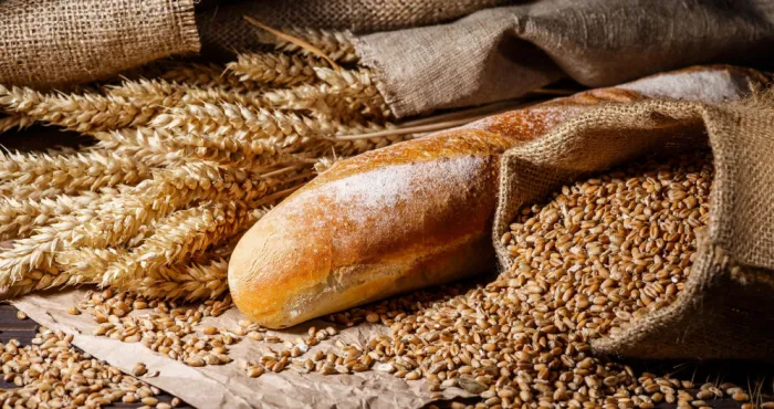 conflit-russo-ukrainien-alerte-a-la-famine