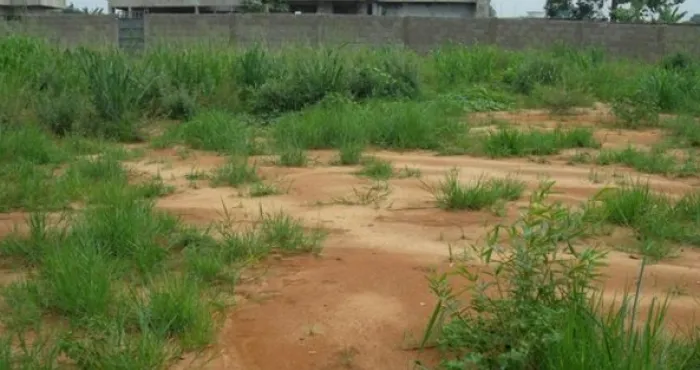 foncier-rural-voici-les-sites-des-terrains-a-problemes