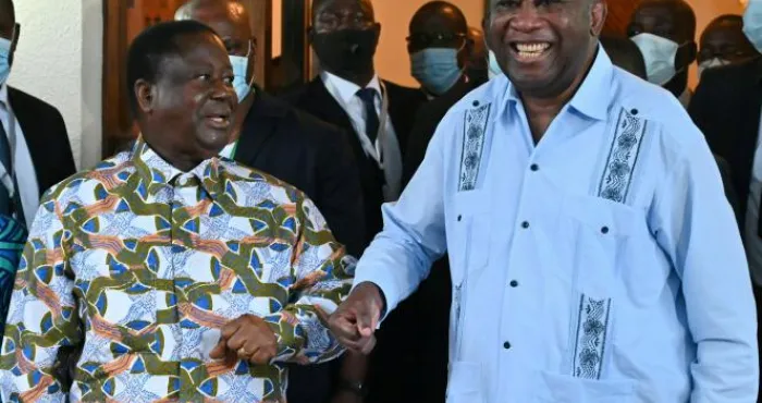 projet-dalliance-pdci-ppa-ci-gbagbo-bedie-qui-sera-le-cavalier-ou-le-cheval