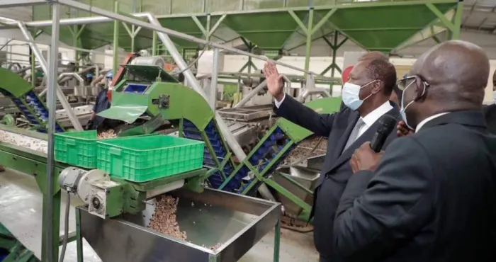 leader-mondial-de-la-production-comment-la-cote-divoire-veut-ameliorer-la-transformation-de-cajou