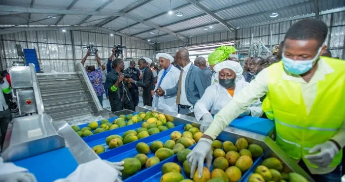 agro-alimentaire-des-produits-corporels-a-base-de-mangue-produits-en-cote-divoire