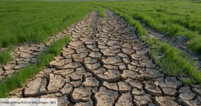 chine-lagriculture-fortement-menacee-par-la-canicule
