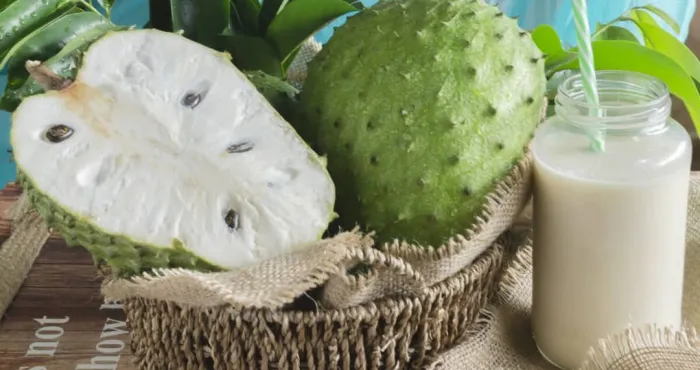 naturotherapie-le-corossol-detruit-12-types-de-cancer