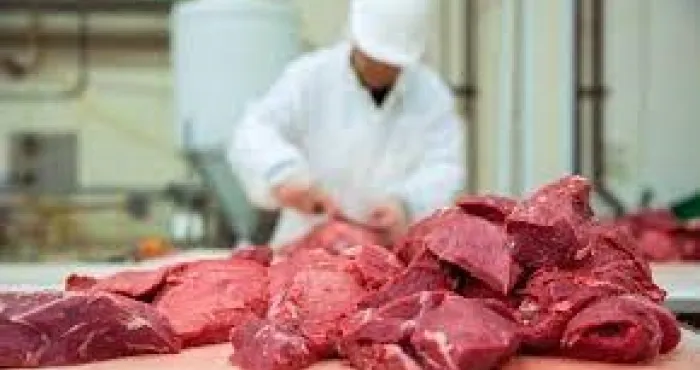 autosuffisance-en-viande-les-recettes-de-letat-pour-mettre-fin-a-la-dependance-exterieure