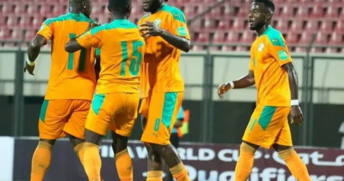 matchs-amicaux-gasset-devoile-la-liste-des-24-elephants-retenus-contre-le-togo-et-la-guinee