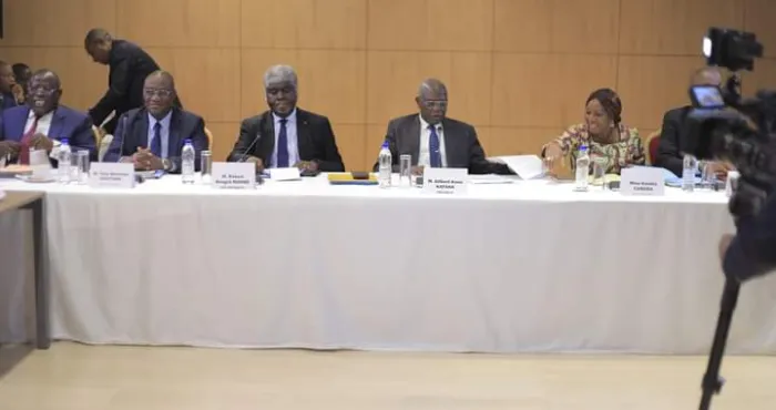 communique-de-la-onzieme-seance-de-travail-du-directoire-du-rassemblement-des-houphouetistes-pour-la-democratie-et-la-paix-rhdp