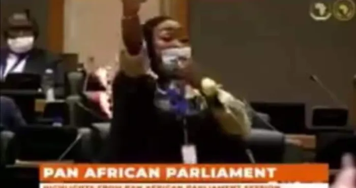 bagarre-au-parlement-panafricain-mariam-traore-fait-de-graves-revelations-et-enfonce-julius-malema