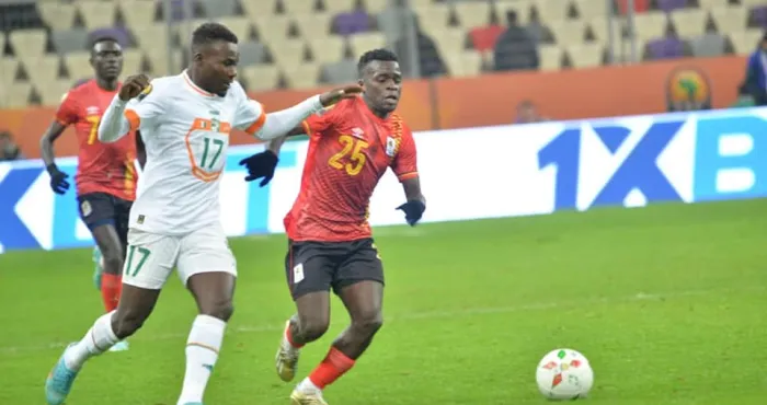 interview-ande-cirille-defenseur-des-elephants-a-lalgerie-nest-pas-invincible