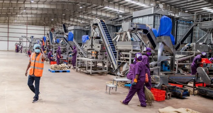 transformation-de-lanacarde-la-cote-divoire-passe-de-9-a-21
