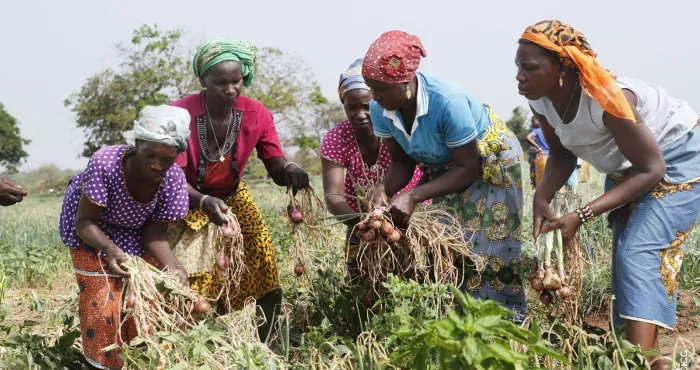 psgouv-2-lutte-contre-la-pauvrete-comment-des-beneficiaires-se-sont-realises