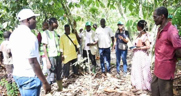 environnement-la-fao-veut-restaurer-le-couvert-forestier-ivoirien