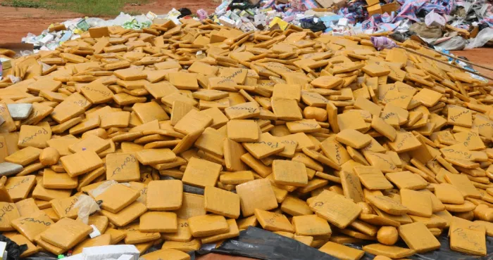 medicaments-prohibes-des-produits-frauduleux-et-14-tonnes-de-drogue-saisis