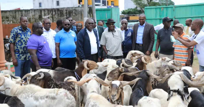tabaski-ibrahim-konate-offre-150-moutons-et-10-boeufs-aux-populations