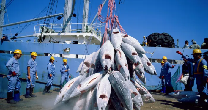 baisse-de-la-production-maritime-les-autorites-a-la-recherche-de-solutions