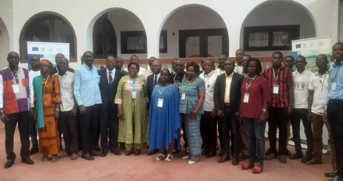 agriculture-des-experts-reflechissent-a-la-riposte-contre-les-maladies-virales-du-manioc-a-grand-bassam