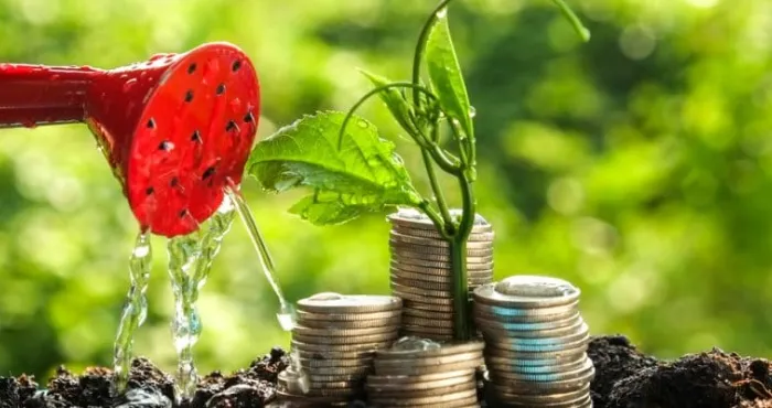 linitiative-de-la-banque-verte-africaine-quatre-banques-nouvelles-vertes-creees