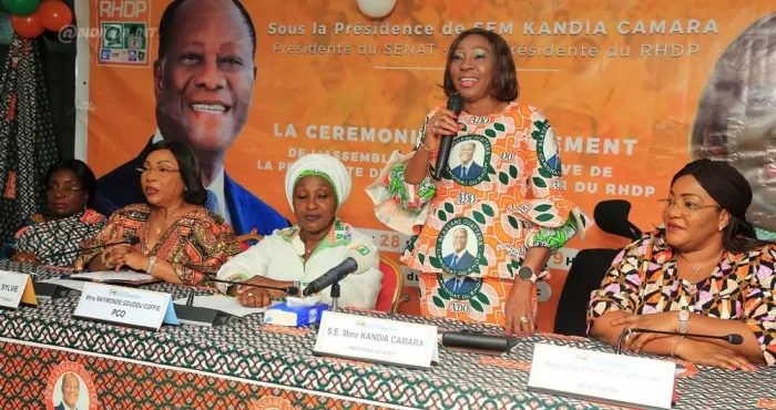 la-democratie-a-lepreuve-des-congres-et-des-assemblees-generales-des-partis-politiques