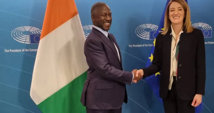 diplomatie-parlementaire-adama-bictogo-discute-de-lavenir-de-son-institution-au-parlement-europeen