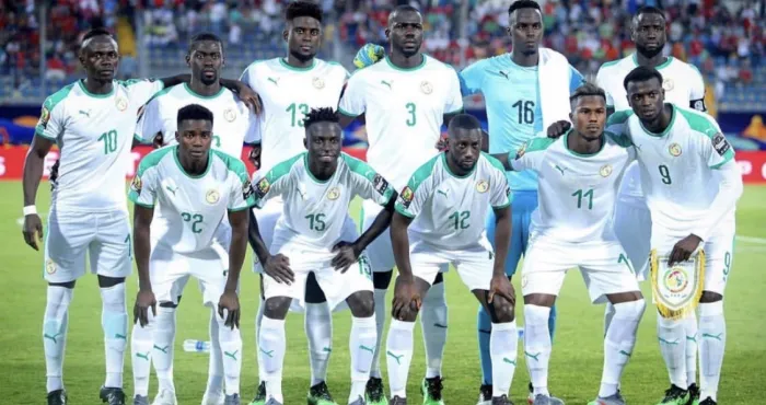 elimines-par-les-elephants-les-lions-de-la-teranga-mauvais-perdants
