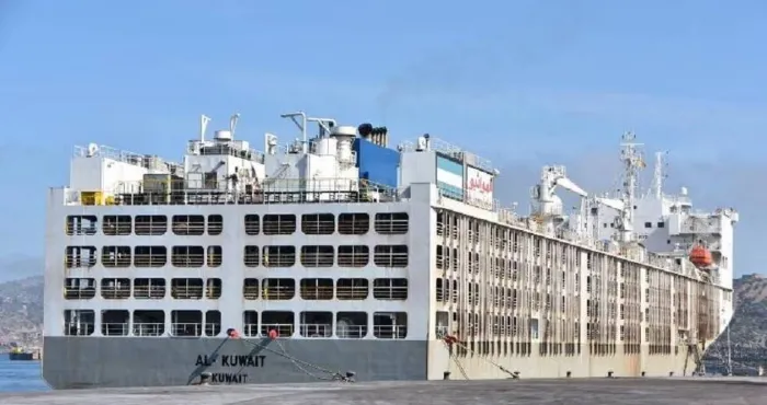 afrique-du-sud-un-navire-transportant-plus-de19-000-betes-maltraitees-a-quitte-la-ville-du-cap