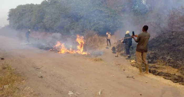 seguela-un-incendie-ravage-plusieurs-plantations-dans-un-village