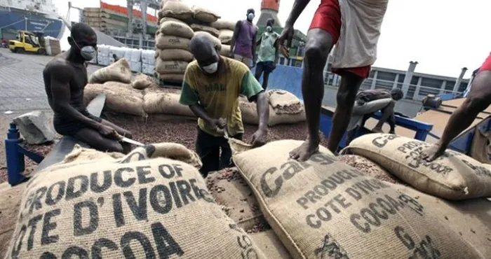 augmentation-du-prix-du-cacao-la-plateforme-ivoirienne-pour-le-cacao-durable-picd-salue-laction-du-gouvernement
