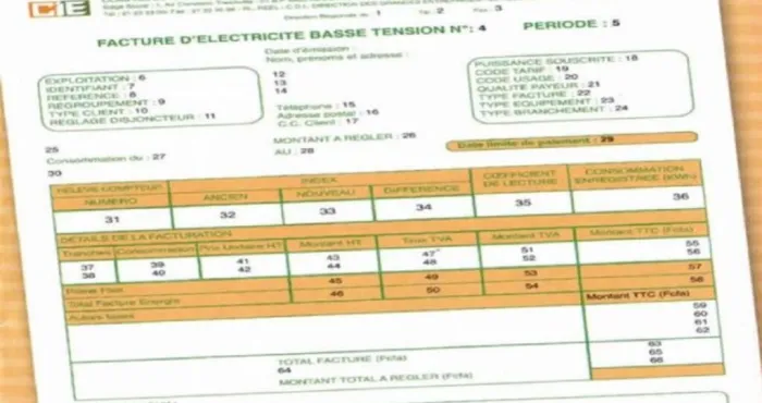 cout-eleve-de-lelectricite-des-populations-font-des-propositions
