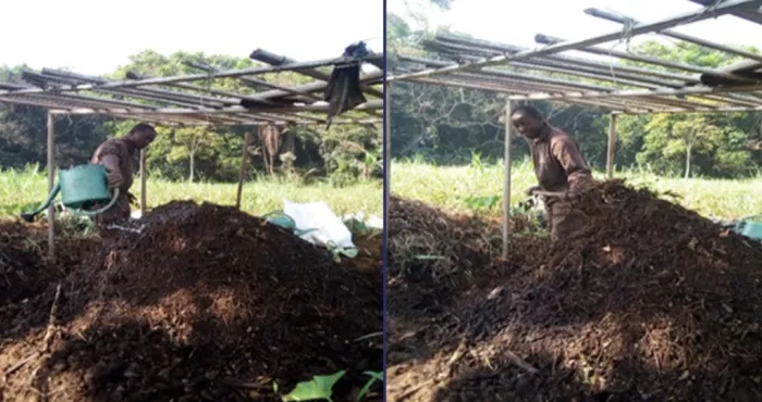 agriculture-durable-la-ruee-vers-lor-noir-le-compost
