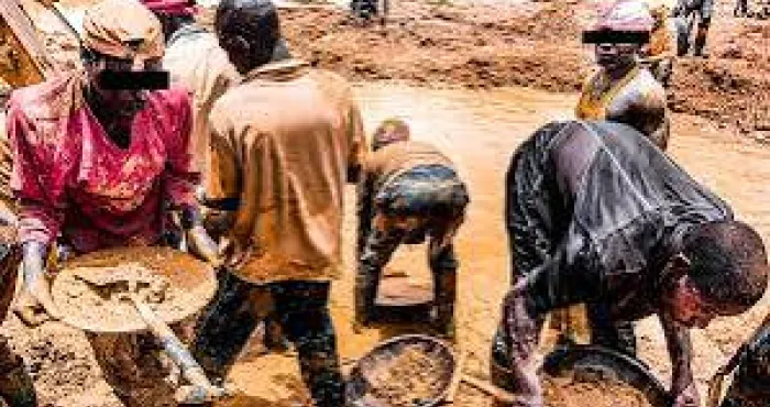dossier-fuite-de-capitaux-destruction-de-lenvironnement-vices-insecurite-comment-lorpaillage-illegal-menace-le-nord-de-la-cote-divoire