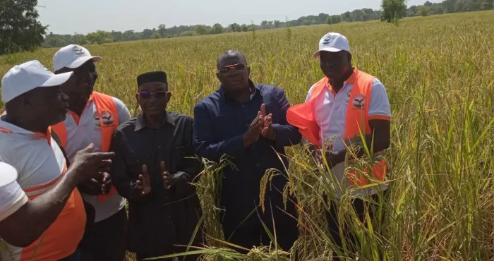 jaad-2024-la-cote-divoire-mise-sur-le-riz-pour-garantir-sa-securite-alimentaire