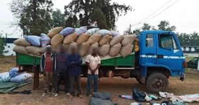 fuite-de-produits-agricole-un-camion-charge-de-cafe-brut-intercepte-a-korhogo