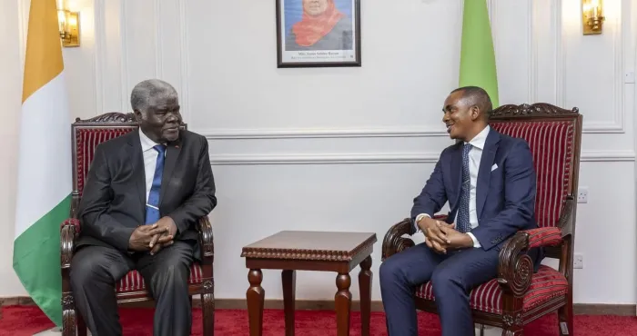 sommet-africain-de-lenergie-mission-300-en-tanzanie-la-cote-divoire-classee-championne-de-lelectrification-en-afrique