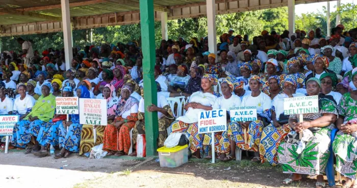 filets-sociaux-productifs-457-000-menages-impactes-sur-la-periode-2017-2024