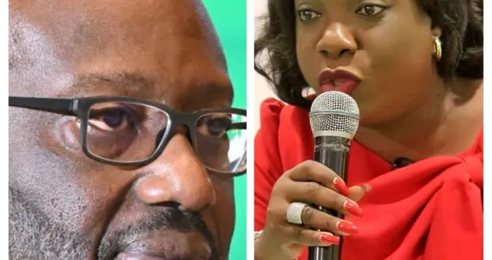 pdci-rda-risque-daffrontements-entre-partisans-de-tidjane-thiam-et-de-valerie-yapo-au-tribunal-dabidjan-plateau-2
